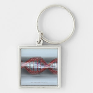 A DNA strand in a capsule Keychain