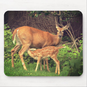 A doe and her fawn mouse pad
