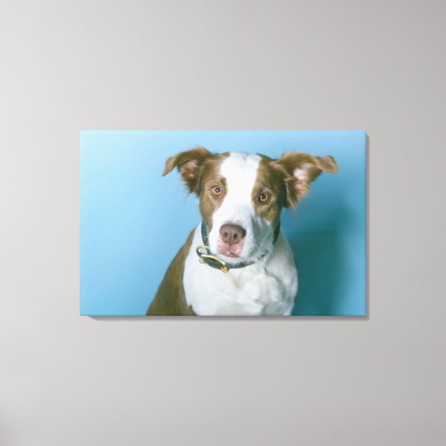 A dog canvas print (Front)