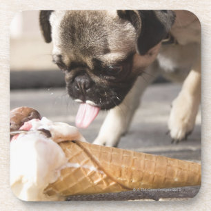A dog eating an ice cream from a pavement coaster