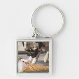 A dog eating an ice cream from a pavement keychain