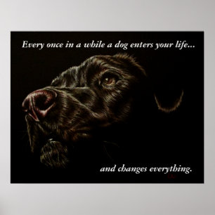 A Dog Enters Your Life - Black Dog Poster