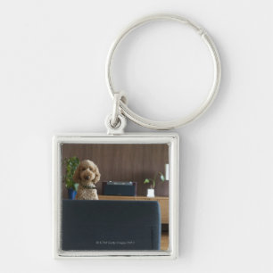 A dog in the riving room keychain