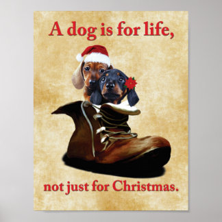 "A dog is for life, not just for Christmas" poster