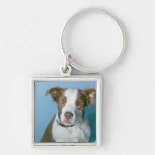 A dog keychain