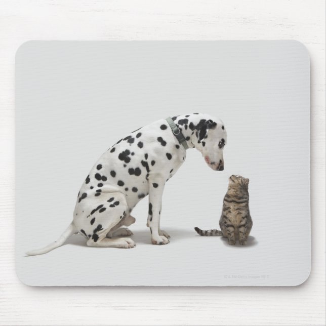 A dog looking at a cat mouse pad (Front)