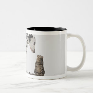 A dog looking at a cat Two-Tone coffee mug