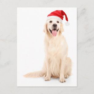 A Dog Wearing A Christmas Hat Holiday Postcard