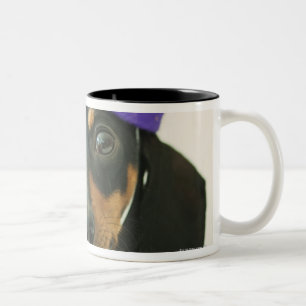 A dog wearing a funny hat Two-Tone coffee mug