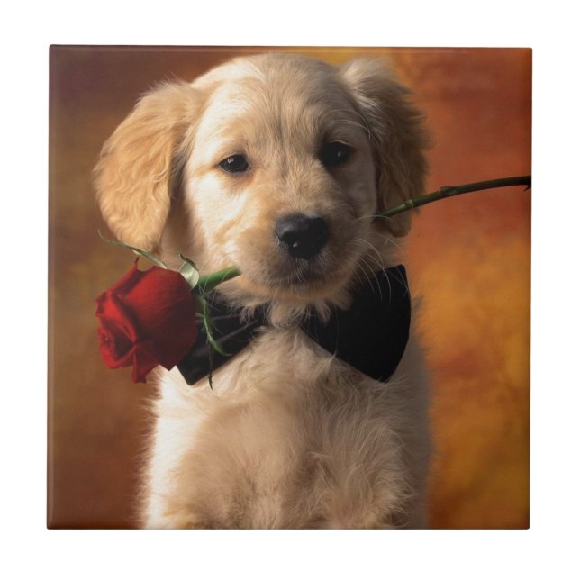 A Dog With A Flower Tile (Front)