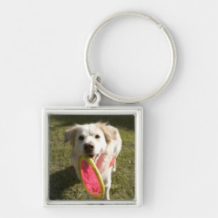 A dog with a frisbee keychain