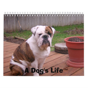 A Dog's Life Calendar