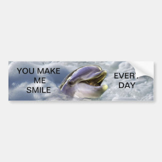 A dolphins best smile bumper sticker