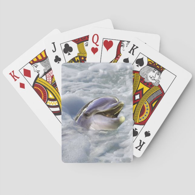 A dolphins best smile playing cards (Back)