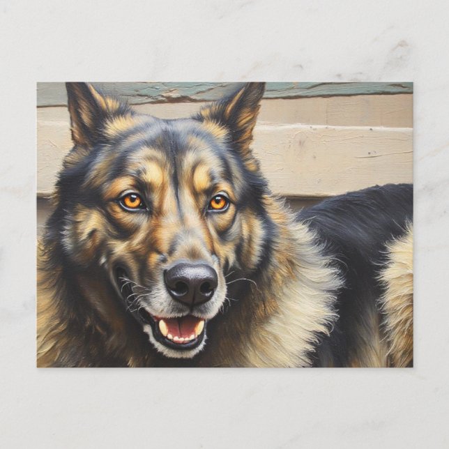 A domestic dog looks trustingly into the camera. postcard (Front)