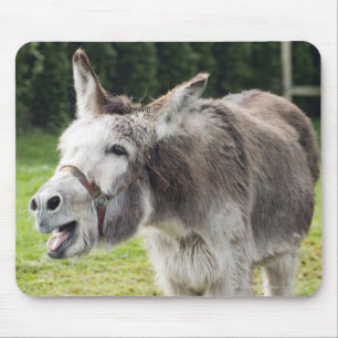 A donkey mouse pad