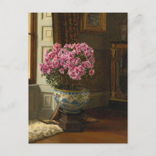 A Double Pink Azalea Jessica Hayllar Postcard