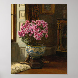 A Double Pink Azalea   Jessica Hayllar Poster