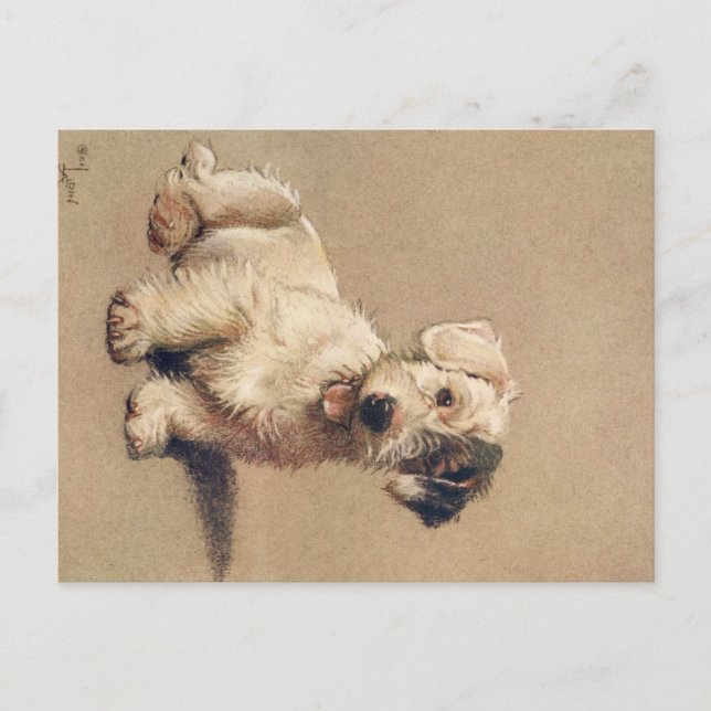 A Dozen Dogs or So Cecil Aldin Postcard (Front)