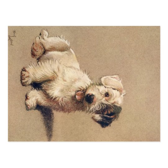 A Dozen Dogs or So Cecil Aldin Postcard