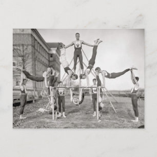 A Dozen Male Gynmasts Postcard