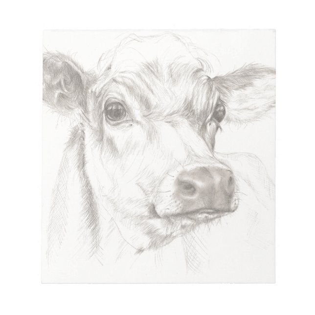 A drawing of a young cow notepad (Front)