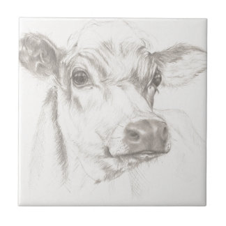 A drawing of a young cow tile
