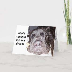 A DREAM COME TRUE SAYS PUP-U R ON THE NAUGHTY LIST HOLIDAY CARD