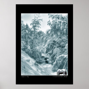 A Drink from Halls Brook Poster