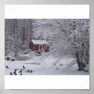 A Ducky Christmas Poster