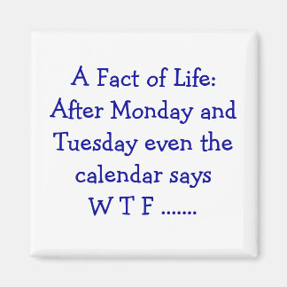 A Fact of Life - Magnet