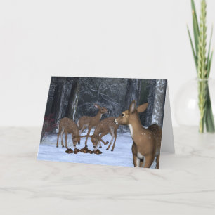 A Family of Deer Holiday Card