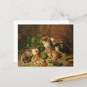 A Family of Rabbits by Alfred Richardson Barber Postcard