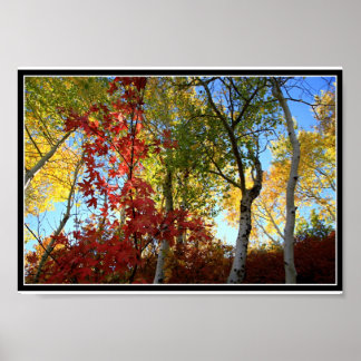 A Fantastic Fall (with border) Poster