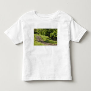 A farm road in Ipswich, Massachusetts. Toddler T-shirt