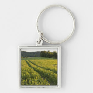 A farm road in Sabins Pasture in Montpelier, Keychain