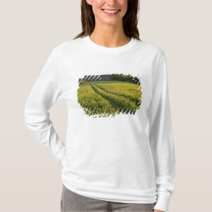 A farm road in Sabins Pasture in Montpelier, T-Shirt