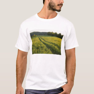 A farm road in Sabins Pasture in Montpelier, T-Shirt