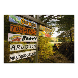 A farm stand in Holderness, New Hampshire. Photo Print