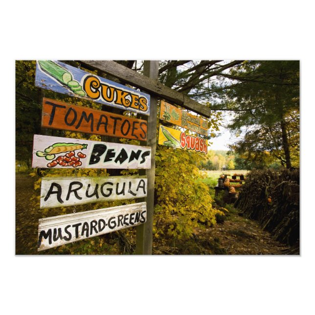 A farm stand in Holderness, New Hampshire. Photo Print (Front)
