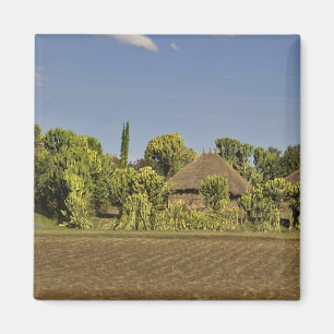 A farmed field in front of thatched roof houses magnet