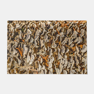 A Fascination with Fungi  Doormat