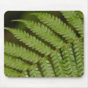 A fern detail, from Mindo Cloud Forest, Mouse Pad