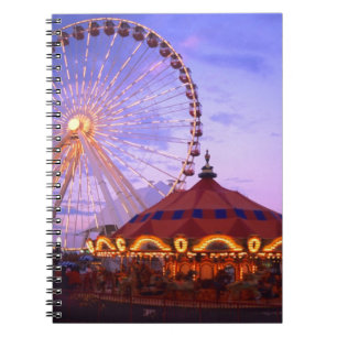 A ferris wheel and carousel at the Navy Pier in Notebook