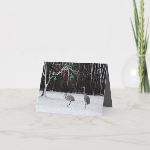 A festive Christmas card featuring Sandhill Cranes