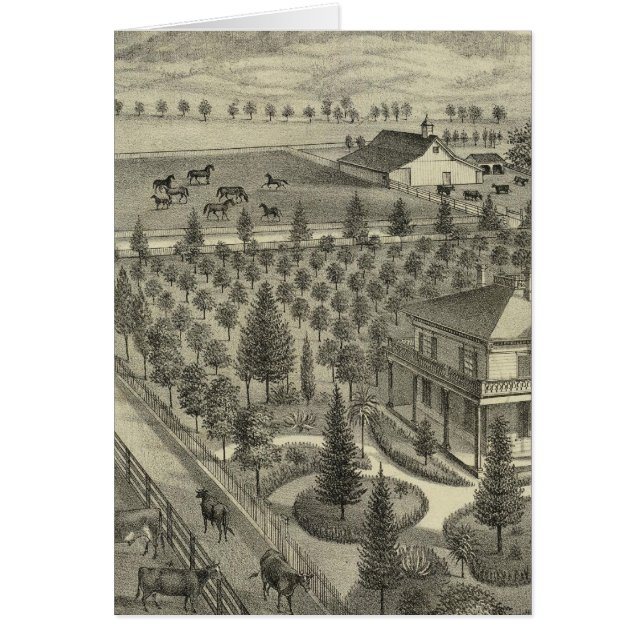 À feuillage persistant Ave (Devant)