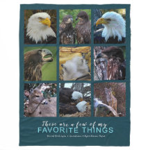A few of my favourite things: Decorah North Eagles