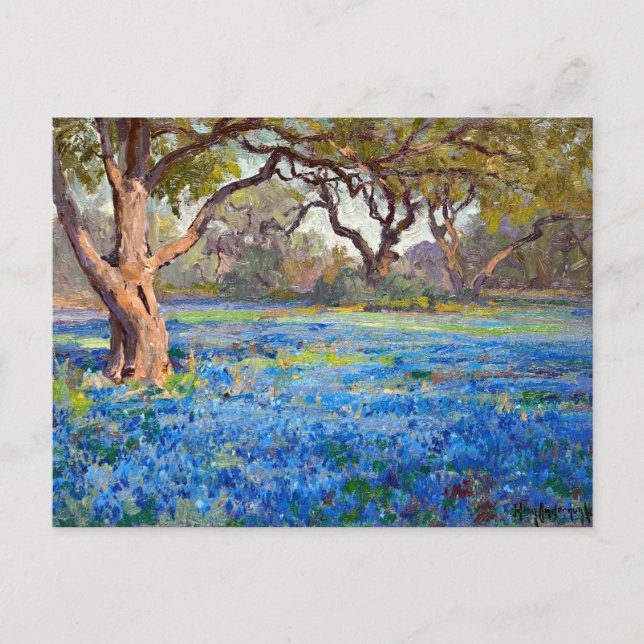 A Field of Bluebonnets at Alamo Heights, 1919 Postcard (Front)