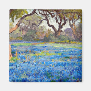 A Field of Bluebonnets at Alamo Heights,  Magnet