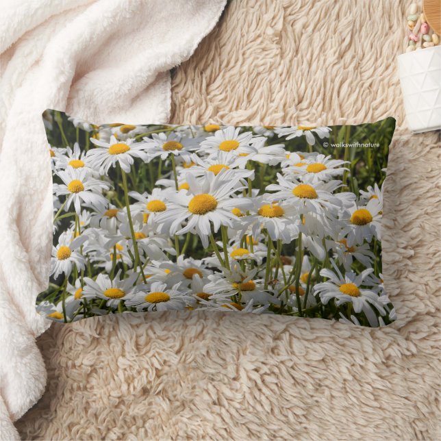A Field of Oxeye Daisies Lumbar Pillow (Blanket)
